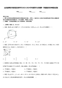 山东省泰安市新城实验中学2023-2024学年数学九年级第一学期期末统考模拟试题含答案