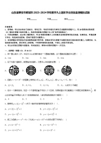 山东省泰安市肥城市2023-2024学年数学九上期末学业质量监测模拟试题含答案