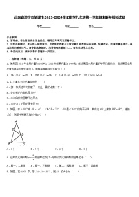 山东省济宁市邹城市2023-2024学年数学九年级第一学期期末联考模拟试题含答案