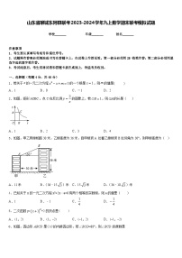 山东省聊城东阿县联考2023-2024学年九上数学期末联考模拟试题含答案