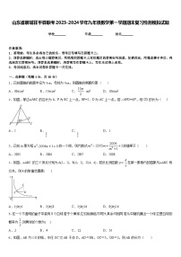 山东省聊城茌平县联考2023-2024学年九年级数学第一学期期末复习检测模拟试题含答案