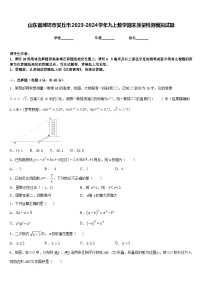 山东省潍坊市安丘市2023-2024学年九上数学期末质量检测模拟试题含答案