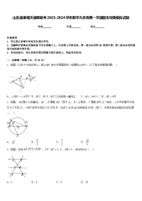 山东省淄博沂源县联考2023-2024学年数学九年级第一学期期末经典模拟试题含答案