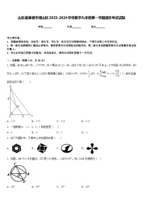 山东省淄博市博山区2023-2024学年数学九年级第一学期期末考试试题含答案