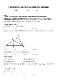 广东东莞光明中学2023-2024学年九上数学期末综合测试模拟试题含答案