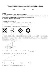 广东汕尾甲子镇瀛江学校2023-2024学年九上数学期末联考模拟试题含答案