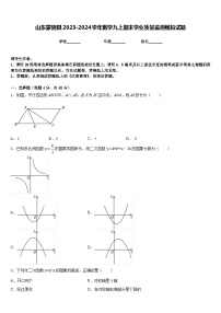 山东蒙阴县2023-2024学年数学九上期末学业质量监测模拟试题含答案