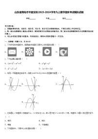 山东省青岛市平度实验2023-2024学年九上数学期末考试模拟试题含答案