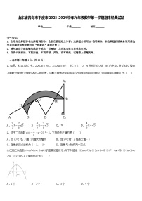 山东省青岛市平度市2023-2024学年九年级数学第一学期期末经典试题含答案