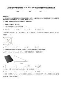 山东省青岛市西海岸新区2023-2024学年九上数学期末教学质量检测试题含答案