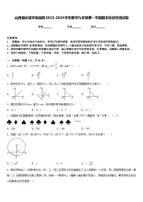 山西省运城市垣曲县2023-2024学年数学九年级第一学期期末质量检测试题含答案