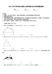 2023-2024学年河北大城县九上数学期末学业水平测试模拟试题含答案