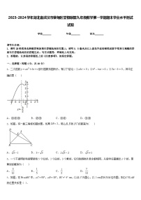 2023-2024学年湖北省武汉市蔡甸区誉恒联盟九年级数学第一学期期末学业水平测试试题含答案