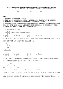 2023-2024学年湖北省荆州市南昕学校数学九上期末学业水平测试模拟试题含答案