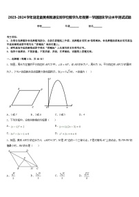 2023-2024学年湖北省黄州思源实验学校数学九年级第一学期期末学业水平测试试题含答案