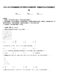 2023-2024学年福建省厦门市竹坝学校九年级数学第一学期期末学业水平测试模拟试题含答案