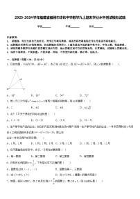 2023-2024学年福建省福州市华伦中学数学九上期末学业水平测试模拟试题含答案