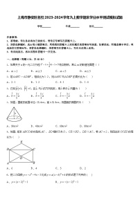 上海市静安区名校2023-2024学年九上数学期末学业水平测试模拟试题含答案