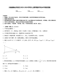 云南省保山市名校2023-2024学年九上数学期末学业水平测试试题含答案