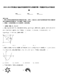 2023-2024学年黑龙江省尚志市田家炳中学九年级数学第一学期期末学业水平测试试题含答案