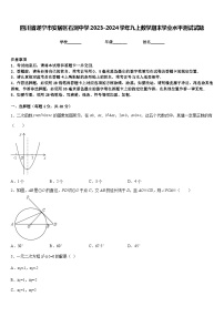 四川省遂宁市安居区石洞中学2023-2024学年九上数学期末学业水平测试试题含答案