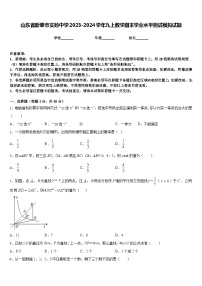 山东省新泰市实验中学2023-2024学年九上数学期末学业水平测试模拟试题含答案