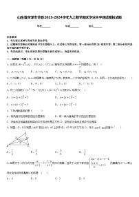 山东省菏泽市曹县2023-2024学年九上数学期末学业水平测试模拟试题含答案