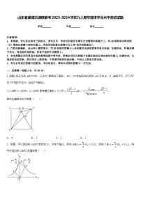 山东省淄博沂源县联考2023-2024学年九上数学期末学业水平测试试题含答案