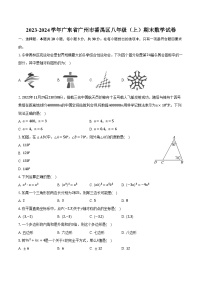 2023-2024学年广东省广州市番禺区八年级（上）期末数学试卷（含解析）