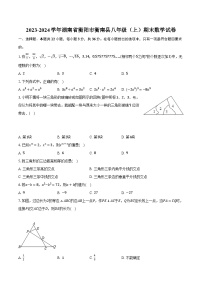 2023-2024学年湖南省衡阳市衡南县八年级（上）期末数学试卷（含解析）