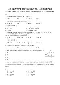 2023-2024学年广东省梅州市大埔县八年级（上）期末数学试卷（含解析）