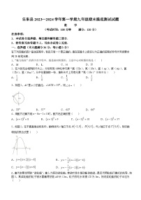 海南省省直辖县级行政单位乐东黎族自治县2023-2024学年九年级上学期期末数学试题