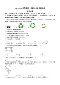 河北省保定市安新县2023-2024学年九年级上学期期末数学试题