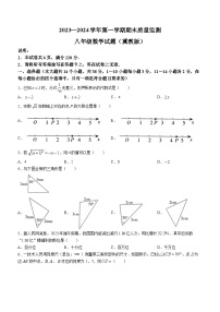 河北省邢台市信都区2023-2024学年八年级上学期期末数学试题