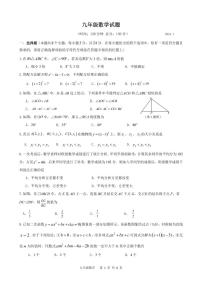 江苏省扬州市江都区2023-2024学年九年级第一学期数学期末试卷