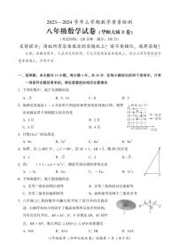 福建省漳州市2023-2024学年八年级上学期期末考试数学试题（华东师大B卷）