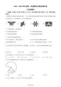 广东阳江2023-2024学年九年级上学期期末数学试题+答案