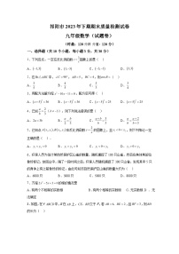 2023-2024学年湖南省永州市祁阳市九年级（上）学期期末数学试题（含解析）