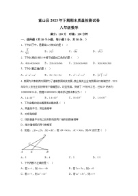 2023-2024学年湖南省永州市蓝山县八年级（上）学期期末数学试题（含解析）