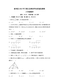 2023-2024学年湖南省永州市新田县八年级（上）学期期末数学试题（含解析）