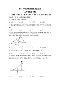 2023-2024学年湖南省衡阳市衡山县九年级（上）学期期末数学试题（含解析）