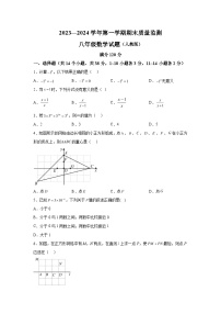 2023-2024学年河北省邢台市任泽区八年级（上）学期期末数学试题（含解析）