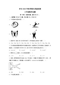 2023-2024学年湖北省荆州市沙市八年级（上）学期期末数学试题（含解析）