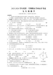 江苏省盐城市射阳县2023-2024学年九年级上学期期末数学试卷