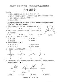 浙江省嵊州市2023—2024学年八年级上学期期末学业成绩调测数学试卷