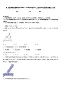 广东省潮阳区华侨中学2023-2024学年数学九上期末教学质量检测模拟试题含答案