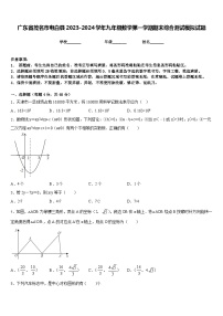 广东省茂名市电白县2023-2024学年九年级数学第一学期期末综合测试模拟试题含答案