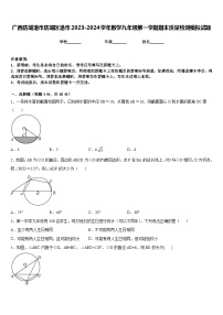 广西防城港市防城区港市2023-2024学年数学九年级第一学期期末质量检测模拟试题含答案