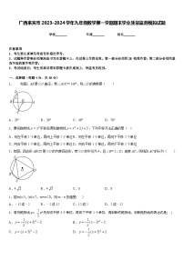 广西来宾市2023-2024学年九年级数学第一学期期末学业质量监测模拟试题含答案