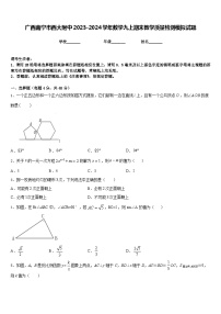 广西南宁市西大附中2023-2024学年数学九上期末教学质量检测模拟试题含答案